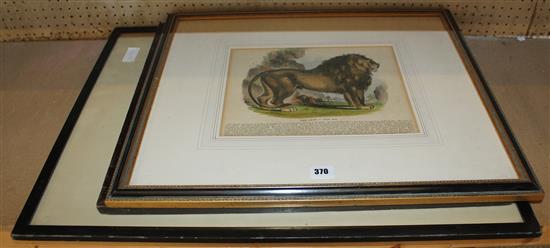 Print of a Lion, etching of Mont Michael & French military service panel